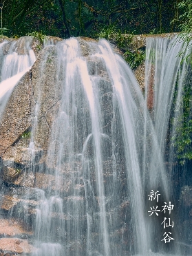 雲浮一日遊：溫泉修心之旅