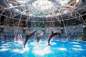 東京品川水族館實測｜2分鐘到達+夢幻珊瑚吧！避坑指南看這篇✨