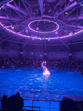 東京品川水族館｜搭JR2分鐘到！圓柱海豚秀超讚避坑指南📝