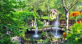 江原道熱門景點——平昌香草王國農園，一個超出片植物園！