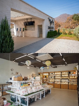 京畿道熱門打卡點，地戲廳四姐妹同款——羊駝牧場