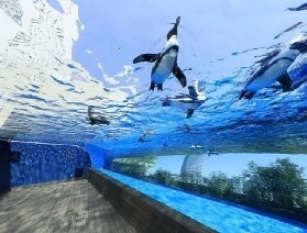 東京陽光水族館：2025表演節目表全公開