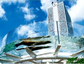 如何前往東京陽光水族館？全交通攻略在此！