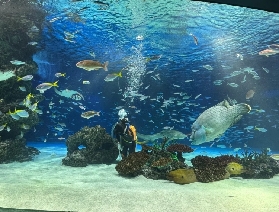 東京必打卡！陽光水族館的奇妙海洋之旅