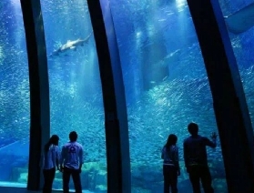 一文搞定！橫濱八景島海島樂園交通指南