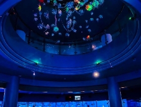 東京橫濱八景島去前必知攻略