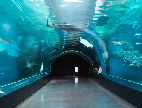 品川馬克賽爾水上樂園必玩全攻略