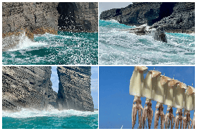 濟州島東部包車一日遊｜3個必知避坑點！別浪費錢又累到爆🥺