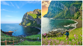 濟州島東部包車一日遊｜保姆級避坑總結｜遊玩後真實心得✨