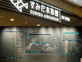 探索墨田水族館指南