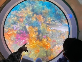 濟州島西歸浦潛水艇【需提前兩日預訂】