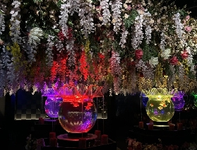 銀座藝術水族館全交通攻略