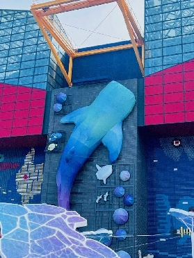 大阪海遊館實測｜3個預訂避坑+必玩亮點！一日票可多次進出超抵✨