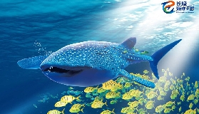 珠海橫琴長隆遊玩攻略：6大核心景點+美食住宿全指南（附時間規劃）