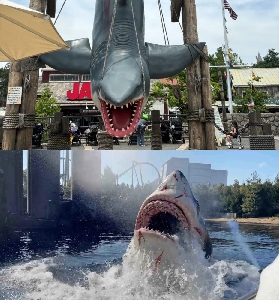 大阪環球影城快捷票避坑總結！這5點一定要註意💡