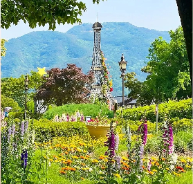 2025韓國蔚山大公園玫瑰園舉辦的玫瑰慶典