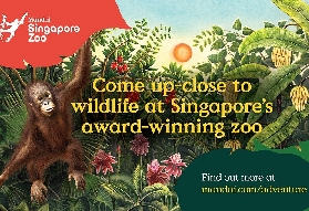 新加坡動物園實測｜非星籍超抵玩！同猩猩食早餐+避坑貼士✨