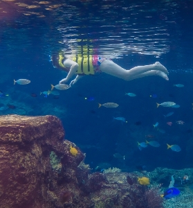 新加坡水上探險樂園｜親子/刺激雙滿足！行程規劃+隱藏亮點大公開🥳