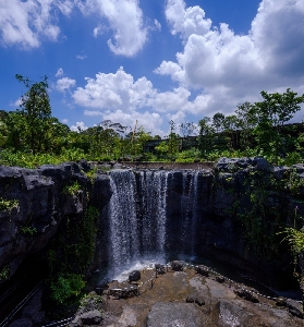新加坡飛禽公園實測｜亞洲最大鳥園！預訂前必看避坑+亮點清單✨