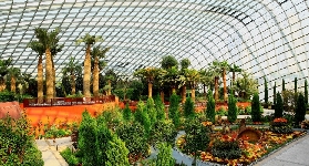 新加坡濱海灣花穹+雲霧館｜實測避坑！外籍遊客必睇預訂貼士✨