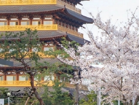 穿越千年新羅！韓國慶州日與夜一日遊全攻略 —— 跟團遊的 N 個心動理由