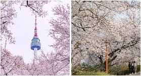 首爾南山塔展望臺一日遊全攻略：俯瞰城市風光，解鎖浪漫地標