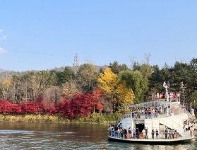 韓國南怡島 + 江原道雪嶽山一日遊攻略：跟團解鎖自然與浪漫雙重體驗