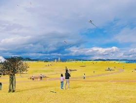 韓國坡州 DMZ 一日遊旅遊攻略：開啟獨特體驗