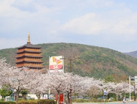 慶州世界遺產文化一日遊：穿越時光的新羅古韻之旅