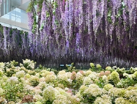 京畿道晨靜樹木園：探尋韓國四季流轉的自然詩篇