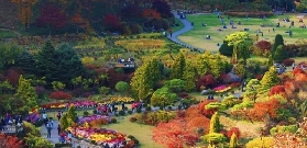 首爾近郊一日遊：邂逅南怡島、江村鐵道與晨靜樹木園的極致浪漫