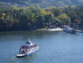 韓國南怡島等地一日遊攻略：解鎖多樣魅力之旅