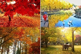 韓國爆款一日遊｜跟著韓劇明星足跡，打卡 4 大網紅景點！