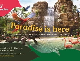 新加坡飛禽公園全攻略：邂逅羽間精靈