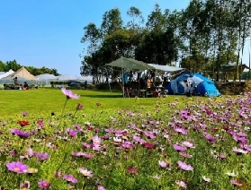佛山耕山小寨：親子研學與田園趣玩的寶藏目的地