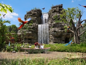 探索新加坡飛禽公園：交通指南助你開啓觀鳥之旅