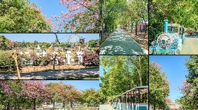 佛山夢裏水鄉百花園：四季皆美的花海秘境與親子樂園