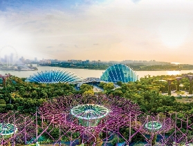 新加坡濱海灣花園暢行指南：地鐵公交自駕全get，零迷路直達夢幻花園！