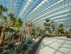 探秘新加坡花穹雲霧館：沈浸式遊玩全攻略，看這篇就夠！