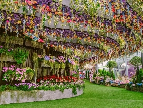 新加坡奇幻花園攻略：沈浸式體驗夢幻植物王國