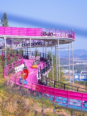 🔥速度與激情｜佛山盈香生態園卡丁車體驗全攻略