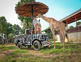 大城府獅子王親子動物園攻略