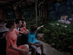 新加坡夜間野生動物園暑假一日遊玩全攻略