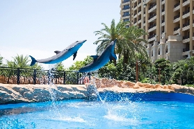 珠海長隆海洋王國全攻略：開放時間、必玩景點、套票優惠一次掌握！