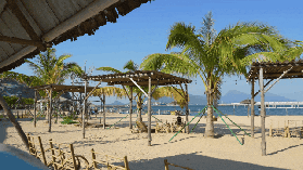 珠海海島線 | 深圳蛇口港到珠海桂山島船班票價時刻表