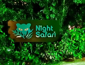 2025暑假必去！新加坡夜間動物園：在星光下與自然對話