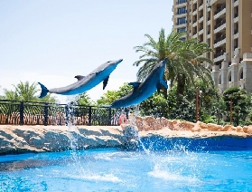 珠海長隆橫琴灣酒店四天三夜套票全攻略 | 暑期最抵