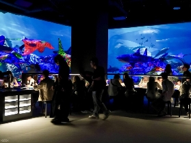 吉隆坡藝術展攻略｜Immersify KL總結避坑+行程規劃建議📝