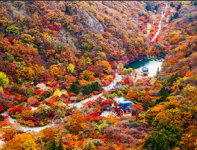 首爾出發 | 2026年韓國全羅北道內藏山賞楓一日遊（每日發車）