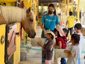 檳城鄉村馬廄實測｜3個必玩亮點+避坑指南✨